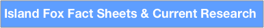 Island Fox Fact Sheets & Current Research
